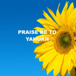 Praise be to Yahuah