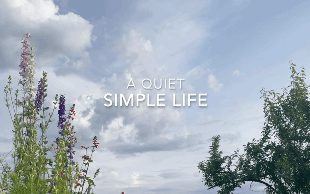 A Quiet Simple Life