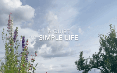 A Quiet Simple Life