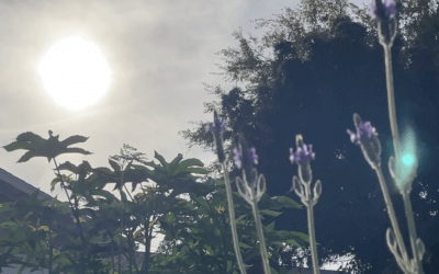 Fear or Freedom? Be Renewed.